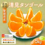 清見タンゴール 5kg