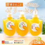 飲みやすいスタンドタイプ 愛媛まるごとゼリー