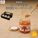 うまいがぜ伊方手作りマーマレード 200g×3個