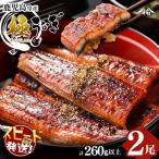 楠田の極うなぎ蒲焼き130g以上×2尾 計260g以上