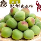 厳選 紀州南高梅 青梅 2kg+250g 傷み補償分