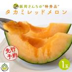 タカミレッドメロン 特秀品 1玉