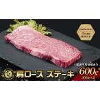 ふるさと納税 ステーキ 奈義和牛 肩 ロースステーキ 600g (300g×2) なぎビーフ 肉 お肉 牛肉 牛 和牛 岡山 国産 岡山県赤磐市