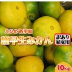 ふるさと納税 西宇和産極早生みかん訳あり10kg【C21-39】【1623770】 愛媛県八幡浜市