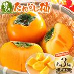 柿 柿農園 渋柿隊 が直送 たねなし柿 渋あり