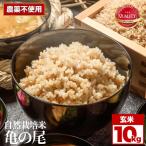 令和8年産 自然栽培米 亀の尾 玄米 10kg