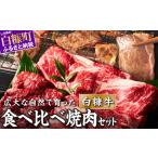 ふるさと納税 北海道産 白糠牛 牛肉 500g_L010-1437 北海道白糠町