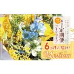 ふるさと納税 お楽しみ！ 6か月 お届け お花の定期便 「Medium」 | ブーケ タイプ 本数7-10本 高さ20-22cm  東京都調布市
