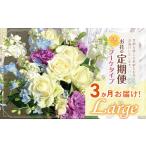 ふるさと納税 お楽しみ！3か月 お届け お花 の 定期便 「Large」 |  花 ブーケ タイプ 高さ35-40cm 本数12-17本  東京都調布市