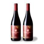 上ノ国ワイナリーの赤ワイン 上の紅 750ml×2本