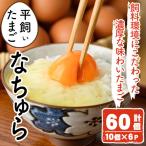 平飼い卵 なちゅら 計60個