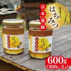 はちみつ 天然 300g