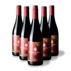 ふるさと納税 上ノ国ワイナリーの赤ワイン「上の紅」　750ml×6本 北海道上ノ国町