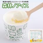 森林ノアイス6個セット