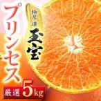 ふるさと納税 ≪新品種!!≫【甘平×まどんな】愛果48号(紅プリンセスと同品種)5kg【H64-78】【1621823】 愛媛県八幡浜市