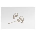 fu.... налог открытый type слуховай аппарат final KDT3000 BEIGE слуховай аппарат префектура Kanagawa город Kawasaki 