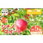 ふるさと納税 【訳あり】りんご シナノスイート 約5kg（11〜20玉）【2026年10月中旬より発送 先行予約】At-021 長野県飯山市