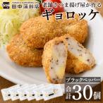 a1028-A 老舗さつま揚げ屋が作るギョロッケ 合計30個