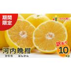 ふるさと納税 【訳あ�