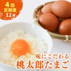 桃太郎たまご 12個
