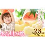 あら川の桃 約2.8kg