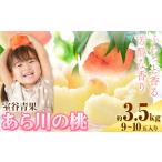 あら川の桃 約3.5kg