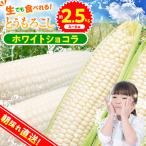 ★2027年 ★朝採りトウモロコシ 約2.5kg