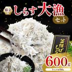 藤文のしらす大漁セット