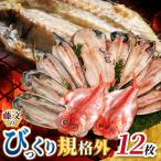 藤文のびっくり規格外セット