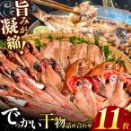 大島水産のでっかい干物詰合せ
