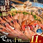 大島水産のでっかい干物詰合せ定期便 年4回