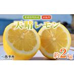 フルーツ 果物 くだものレモン れもん 檸檬