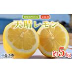 フルーツ 果物 くだものレモン れもん 檸檬