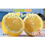 フルーツ 果物 くだものレモン れもん 檸檬