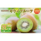 プレミアム キウイ フルーツ 3L