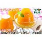 有田 みかんゼリー 12個