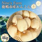 fu.... налог | предшествующий предварительный заказ * ограниченное количество | органический удобрение .... renkon 4kg (8 месяц сверху . отправка начало предположительно )[ Ibaraki префектура олень . город иметь машина культивирование органический Len.. Ibaraki префектура олень . город 