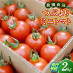 農園直送 つぶより ミニトマト 2kg入り