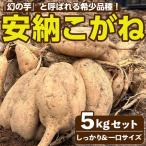 安納芋 6kg
