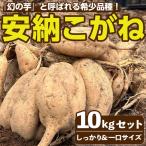 安納芋 10kg