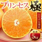 ふるさと納税 「新品種!!」【甘平×まどんな】愛果48号(紅プリンセスと同品種)【極】5kg【H49-92】【1621804】 愛媛県八幡浜市