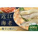 fu.... налог близко . море .600g(S размер )[AQBA009].. близко . море . креветка Shiga префектура Нагахама город 