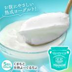 くまもと半熟よーぐるちょ 350g×5個