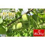 うめ ウメ あおうめ アオウメ 梅干し 梅ジュース
