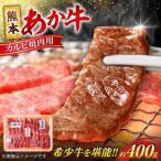 令和8年熊本地震復興支援 馬刺し 赤身馬刺し 約400g