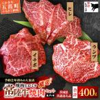 焼肉ヒロミヤ厳選 常陸牛焼肉セット 共通返礼品