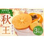 産ブランド柿 秋王 約3kg