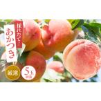 ふるさと納税 【 クール便 】 桃 あかつき 大玉 糖度 13度 以上 5個 前後【 本州 ・ 四国 発送 】 | 果物 くだもの フルーツ 桃 あかつき モモ .. 長野県飯田市