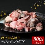牛 段戸山高原牛 ホルモンMIX 800g