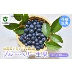 ブルーベリー生実 A級品 1kg